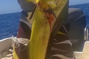 Fishing