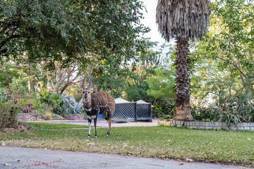 Property amenity