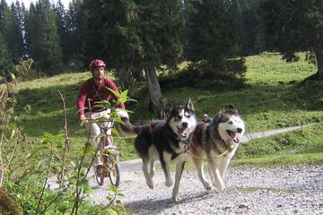 Bicycling