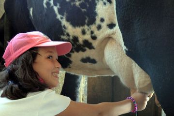 Children's activities