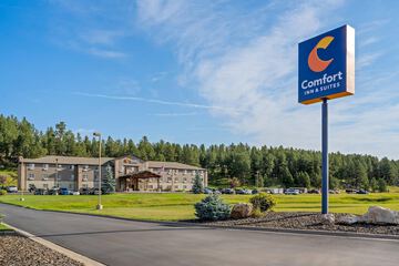 Comfort Inn & Suites Custer