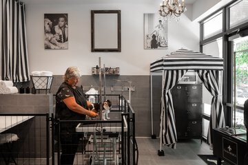 Pet-friendly amenities