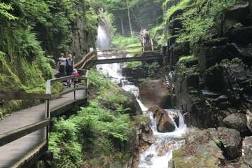 Children's activities