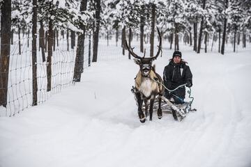 Sledding