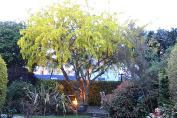 Photo 51