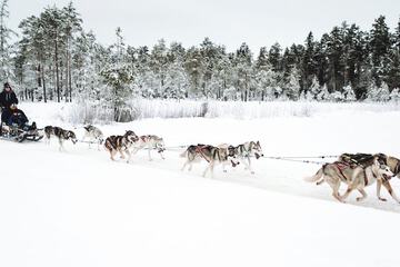 Sledding