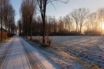 Photo 42