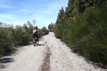Bicycling