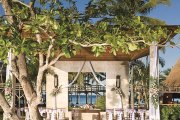 Outdoor wedding area