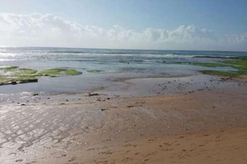 Land view from property