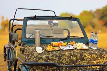 Game drive
