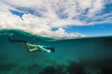 Surfing/boogie boarding
