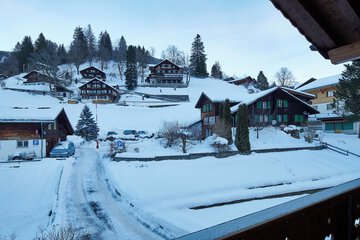 View from room