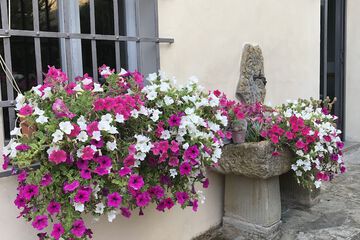 Courtyard view