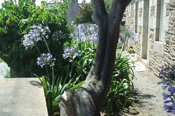 Photo 25