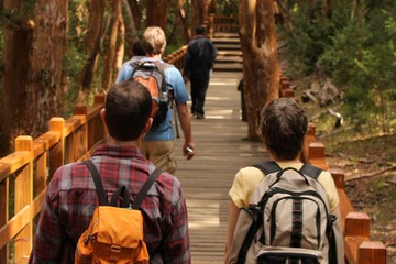 Hiking