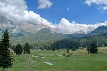 Photo 29