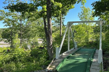 Mini-golf