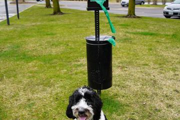 Water Sports 47 of 47