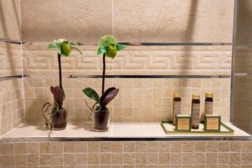 Bathroom amenities