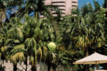 Tennis court