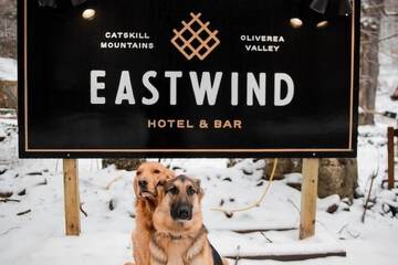 Pet-friendly