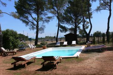 Photo 40