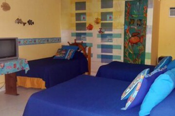 Photo 6