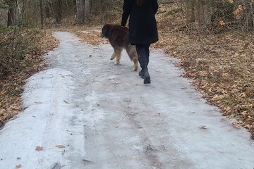 Hiking