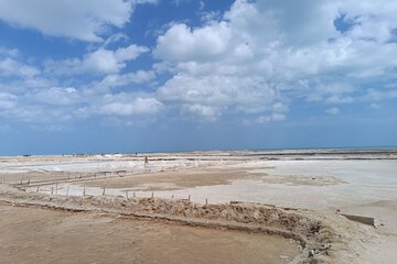 Ecotours