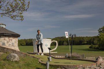 Mini-golf