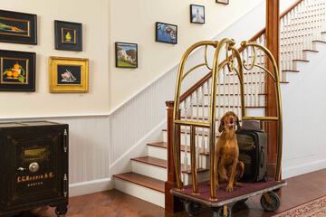 Pet Friendly 53 of 56