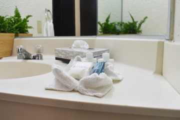 Bathroom amenities
