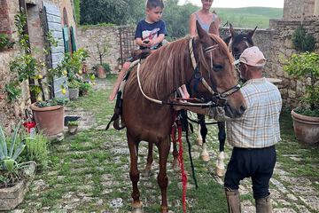 Horseback riding