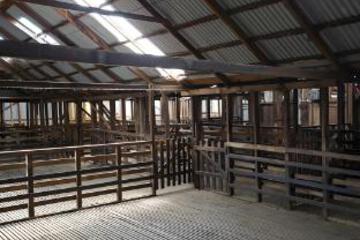 Surrounding environment