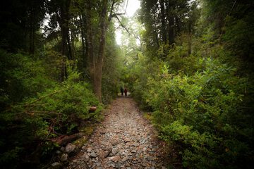 Hiking