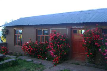 Photo 23