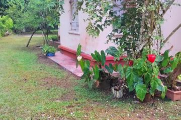Photo 62