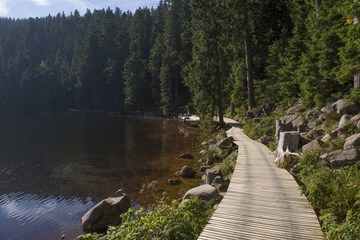 Hiking