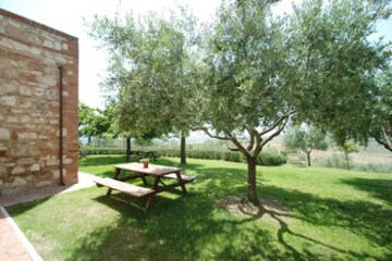 Terrace or Patio