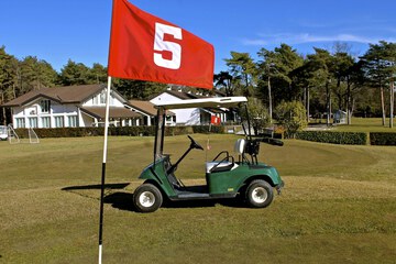 Golf cart