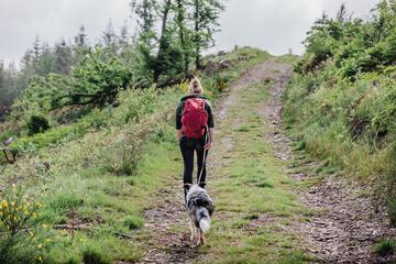 Hiking