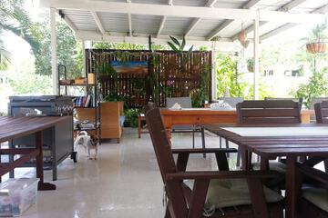 BBQ/picnic area