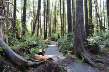 Hiking
