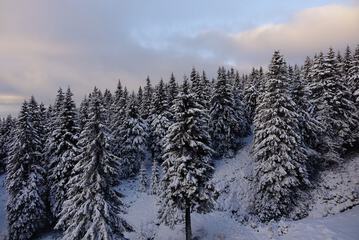 Mountain view