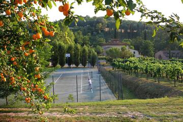 Tennis court