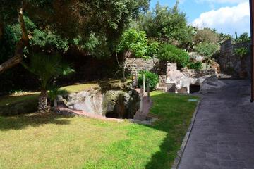 Photo 81