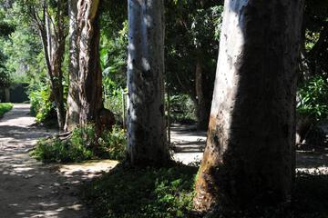Photo 37