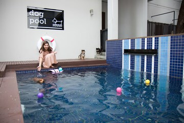 Pet-friendly