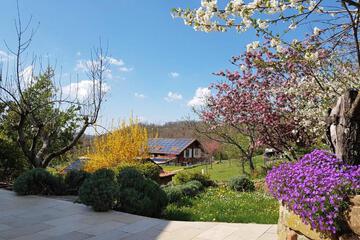 Photo 44